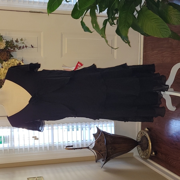 Dani Max black tiered dress sheer cap ruffle sleeve Fabric rose Vneck sz 18 New… - Picture 2 of 8